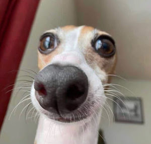 Meet your Posher, Kairos